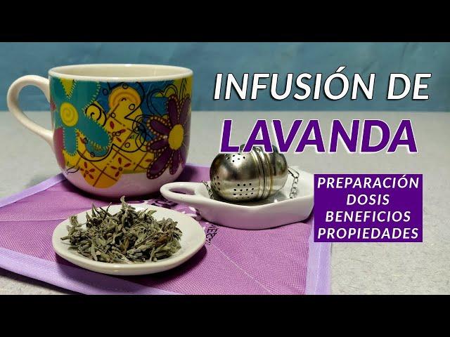 Infusión de Lavanda | beneficios y preparación | un té con Daniela