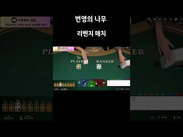 너 다시 와라 #바카라 #에볼루션 #번영의나무 #shorts