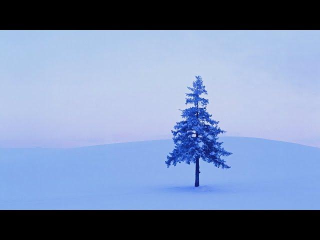 Тихонечко Живём в Тайге. Деревню Замело. Щуки, Окуни, Минимализм.