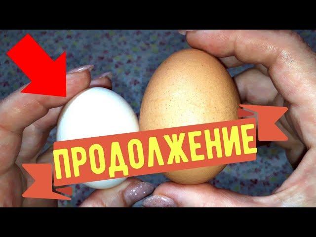 Разбила ЯЙЦО И УПАЛА В ОБМОРОК!!!