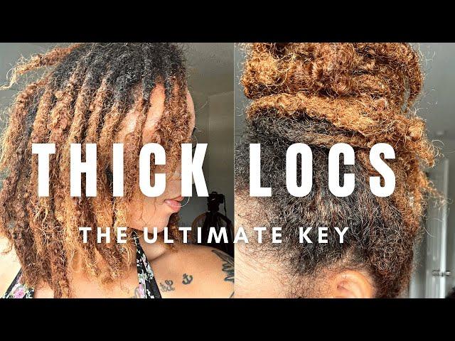 THICK LOCS JOURNEY | HOW I GOT THICK LOCS