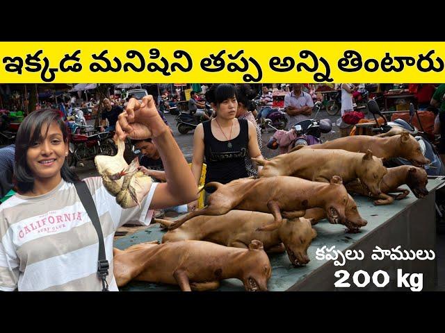 BIGGEST MEAT MARKET IN BANGKOK | TELUGU GIRL IN THAILAND 