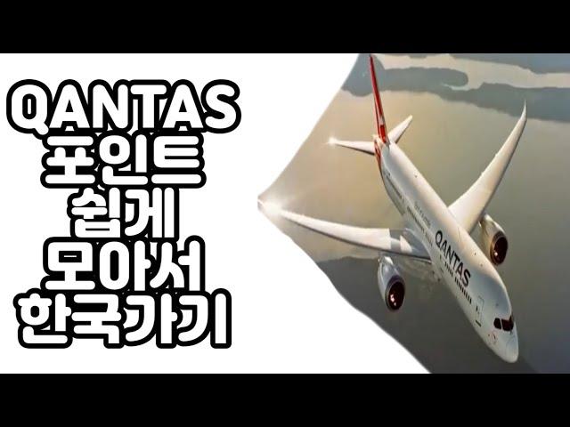 QANTAS 포인트 모아서 한국 여행가기 | 호주 이민• 카이로프랙터 ㅣ 모리골 청년