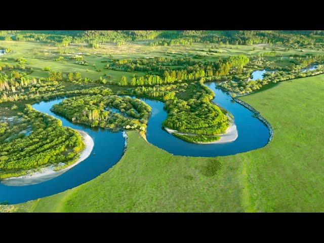 Eastern Inner Mongolia Series | Episode 1: Forest and grassland