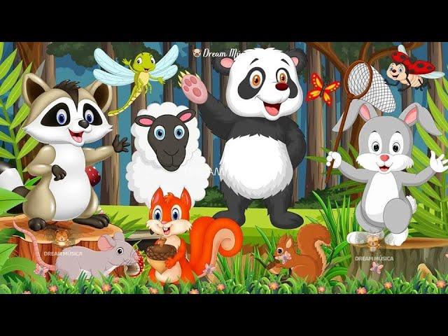 Animal sounds around us: Sheep, Squirrel, Mouse, Dragonfly, Caterpillar - Animal videos