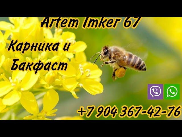 осмотр семей,состояние семей добавление строительных рамок