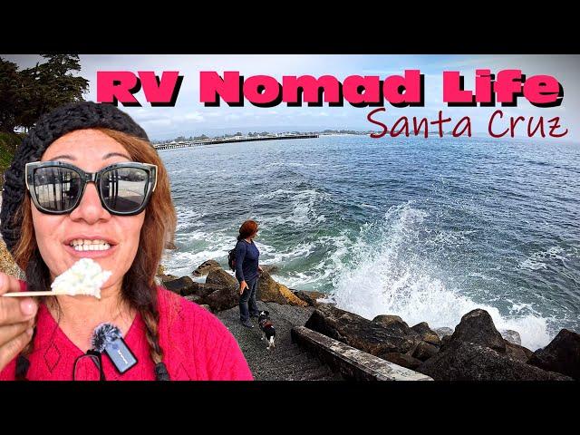 Experience the classic charm of Santa Cruz Beach and indulge in a unique taste garlic ice-cream