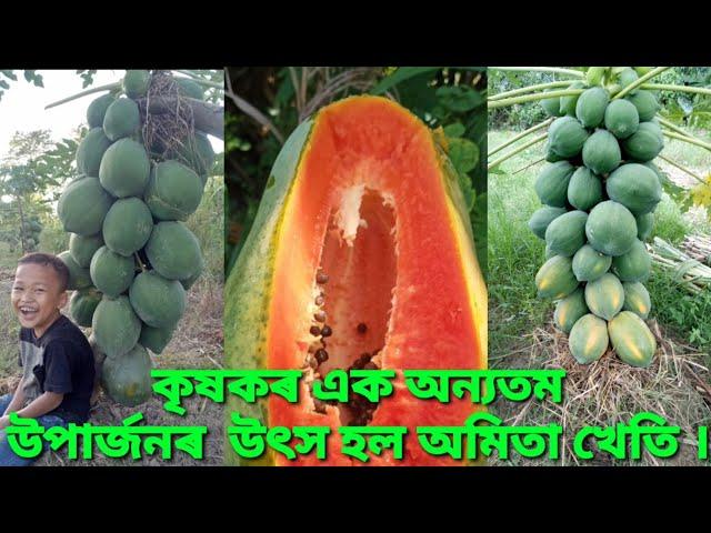 অমিতা খেতি এটা লাভজনক খেতি ।