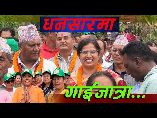 Kailashkhabar HD || गाईजात्राको रौनकः सिरुटारको व्यङ्ग्य || Sirutar Gaijatra