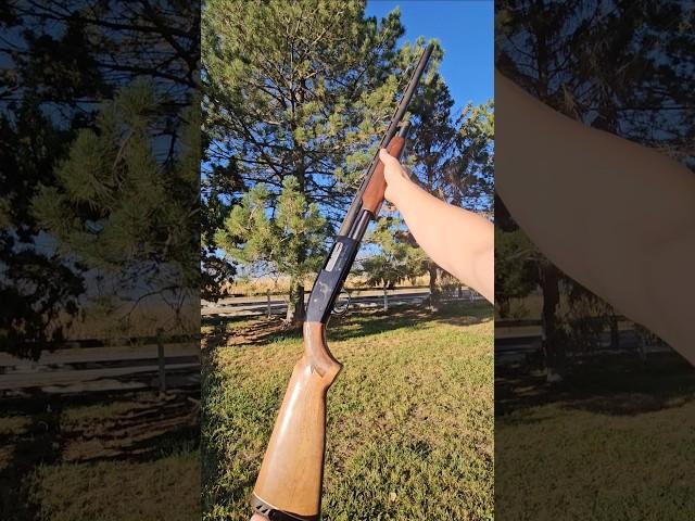 Mossberg 600 A/T 12G Modified hunter