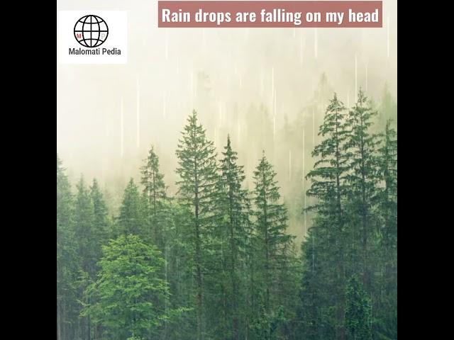 Relaxing Rain drops for sleeping problems || calm and peaceful rain || Malomati Pedia || #shorts