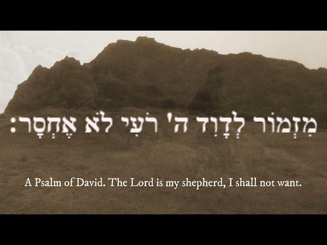 תהלים כ"ג | Psalm 23 The Lord is My Shepherd (in Hebrew)