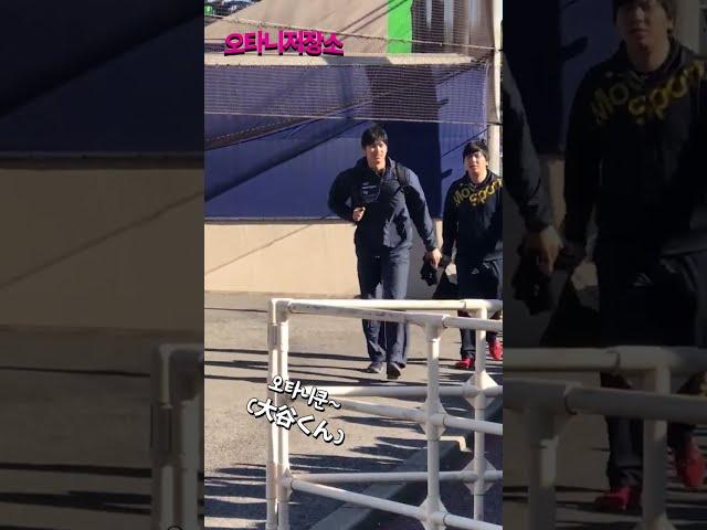 남자들이 꿈꾸는 학창시절 (ft.오타니 쇼헤이)