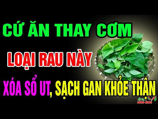 Bác Sỹ Mách Bạn 9 Thực Phẩm Là Vua Giải Độc Ruột, Giúp Hồi Sinh Gan Thận, Ngăn Ngừa UT Hiệu Quả