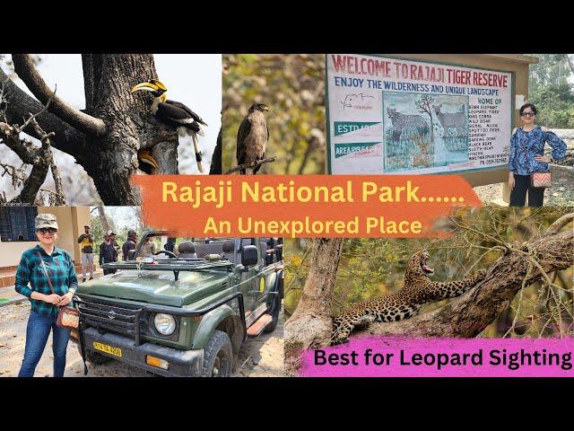 Rajaji National Park, Uttarakhand I Sighted Leopard in all Safaris I Complete Details Available....