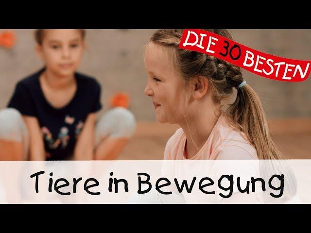  Tiere in Bewegung - Yoga Bewegungslieder für Kinder || Kinderlieder