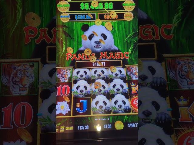 Dragon Cash Panda Magic $7.50 bet #slot #thebigjackpot #casino #gamblinggame #slotking #slotwin