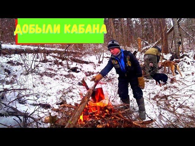 ОХОТА НА КАБАНА В ТАЙГЕ ДАЛЬНЕГО ВОСТОКА.