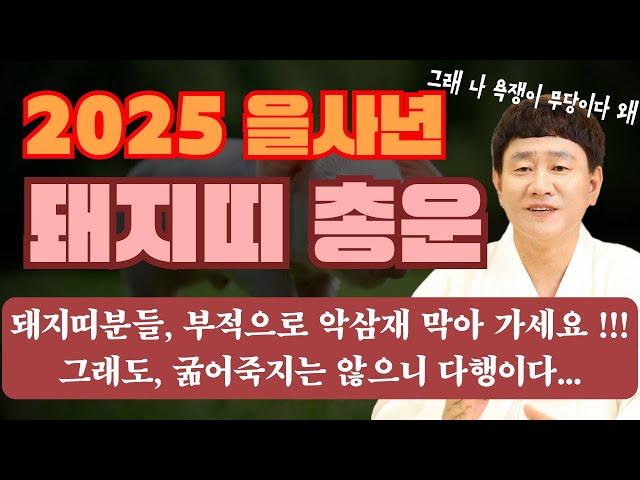 2025 을사년 돼지띠 총 운세ㅣ부적으로 다가오는 악삼재 막아서 가세요!!!ㅣ그래도, 굶어 죽지는 않는 돼지띠분들 힘내세요    [황해도이북만신 신도령]