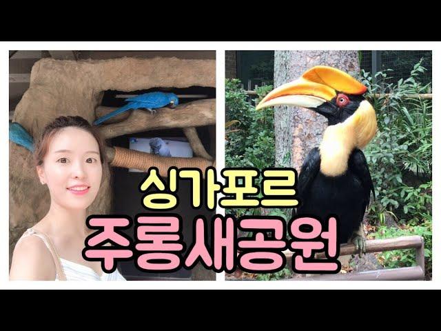 싱가포르 주롱새공원 Jurong Bird Park Singapore