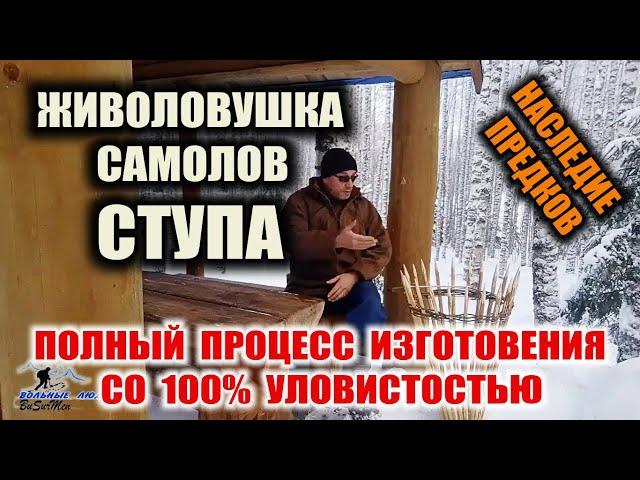 ЛОВУШКА НА ПТИЦУ со 100% уловистостью. СТУПА - древний самолов на птицу, живоловушка при выживании.
