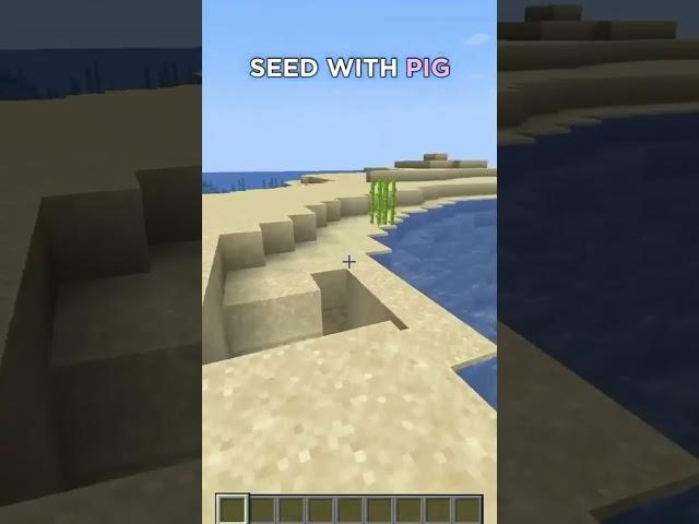 Minecraft best seed 1.17 #sb737