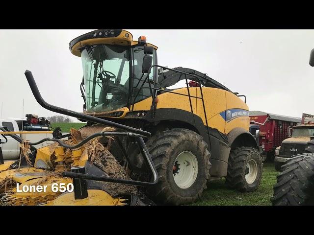 Maple Ridge Farms 2017 corn silage harvest