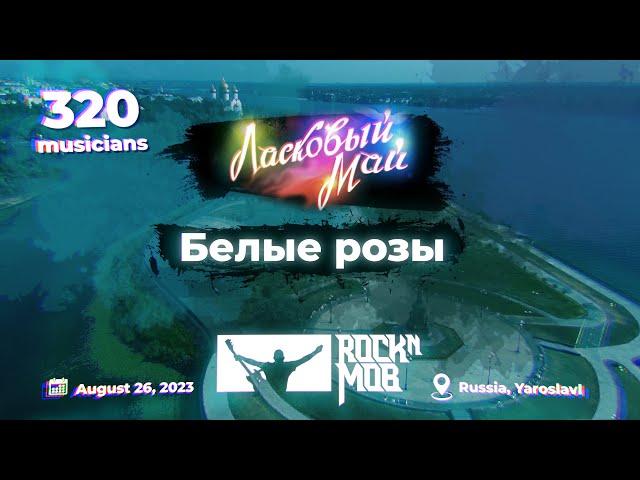 Laskovyi Mai – White Roses. 320 musicians #Rocknmob #Yaroslavl 26.08.2023