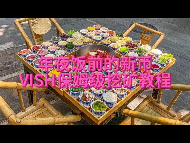 2023年新币VISH挖矿教程，新手挖矿必看教程，我敢说是全网最详细中文挖矿教程，建议仔细观看