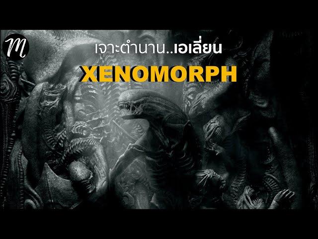 เอเลี่ยน ซิโนมอฟ..เจาะตำนานจอมมฤตยู | Alien Romulus | The Movement