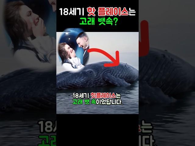 고래 뱃속에서 찐한 데이트를?! 1800년대 부자들의 충격 취향