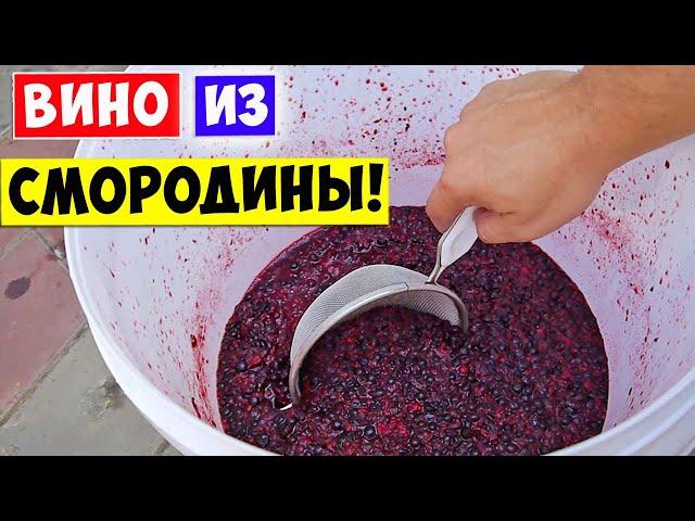 ВИНО из СМОРОДИНЫ! САМЫЙ ПРОСТОЙ РЕЦЕПТ!!!