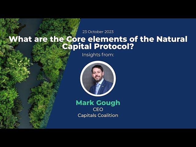 Mark Gough Interview - Natural Capital Summit