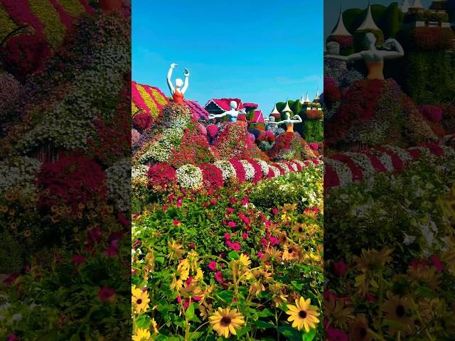 Amazing Dubai Miracle Garden #dubai #travel #miraclegarden #flowers #garden #dubaicity