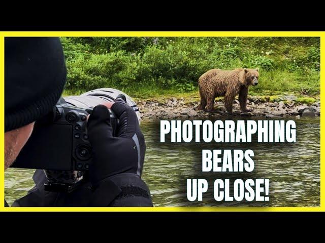 Alaskan Brown (Grizzly) Bear Photography - Walking with Bears Up Close - Remote Wilderness Camping