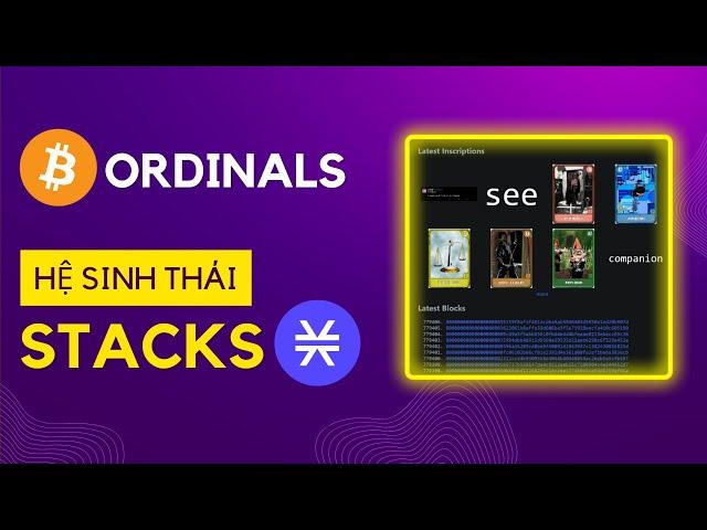 Bitcoin Ordinals & Hệ Sinh Thái Của Stacks (STX) | Lịch Sử Bitcoin Sang Trang Mới?