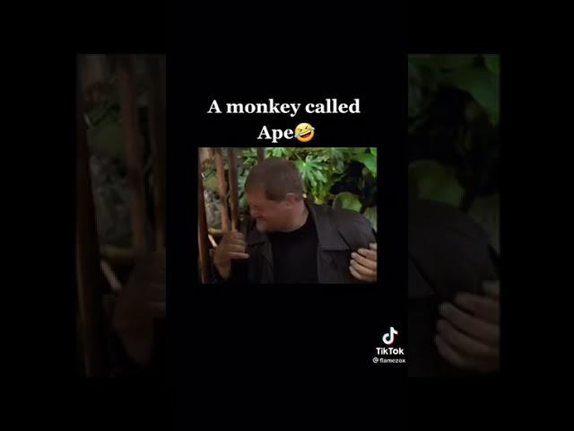 George of the jungle