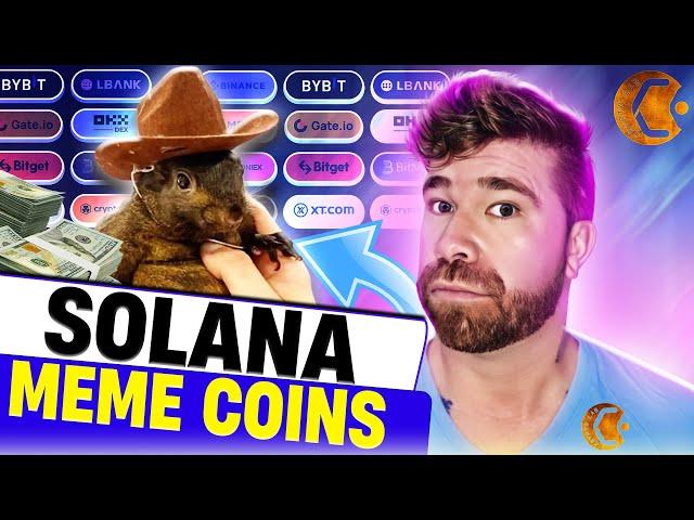 Which Solana Meme Coins Should You Invest In? Top Picks!