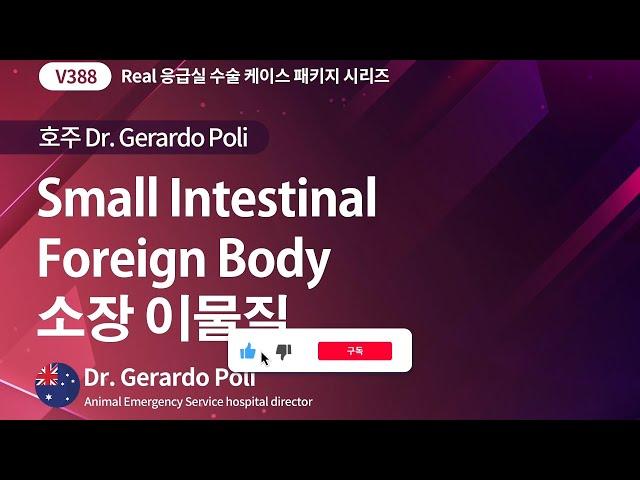 [베터플릭스] [Real 응급실 수술 케이스] 호주 Dr. Gerardo - 소장 이물질(Small Intestinal Foreign Body)_강의