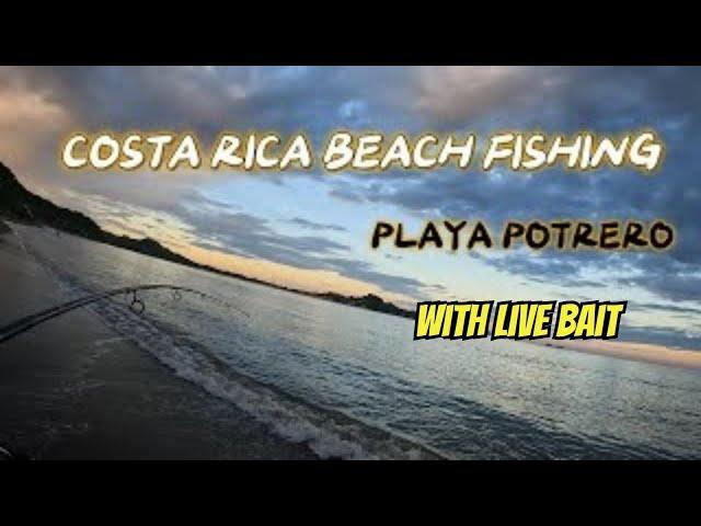 Beach Fishing Costa Rica with LIVE BAIT!