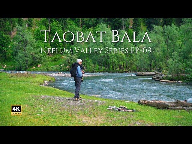 Is Taobat Bala the MOST BEAUTIFUL Place in KASHMIR? #taobat