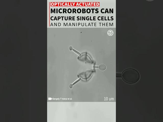 MicroRobots can capture Single Cell #shots #medical #tech #education #science #robot