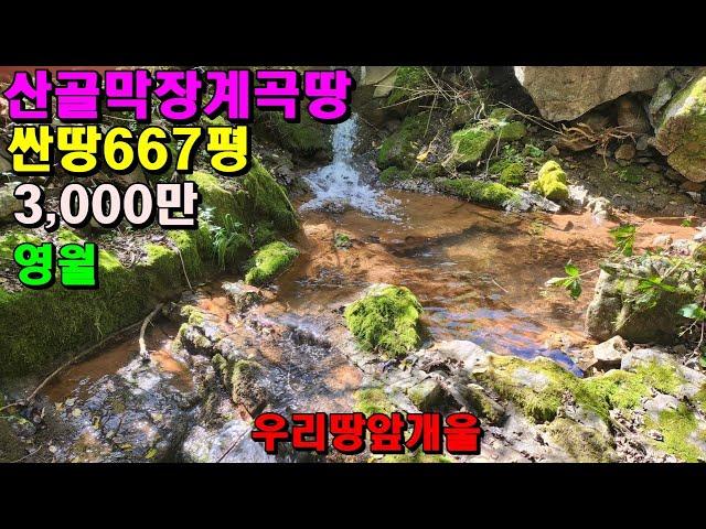 골막장계곡땅/자연인노리터/아주싸게나온땅667평/3000만/건축가능계획관리/영월부동산매매/영월토지매매