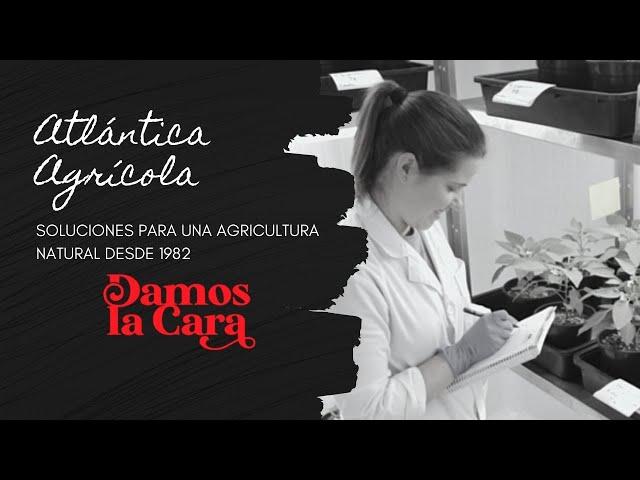 Atlántica Agrícola - Empresa Familiar | DAMOS LA CARA