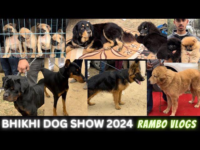 Bhikhi Dog show 2024 #doglover