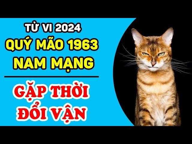 Tử Vi Tuổi Quý Mão 1963 Nam Mạng: Năm 2024 GẶP THỜI PHẤT MẠNH, Tiền Vàng Chất Ngập Nhà | LPTV