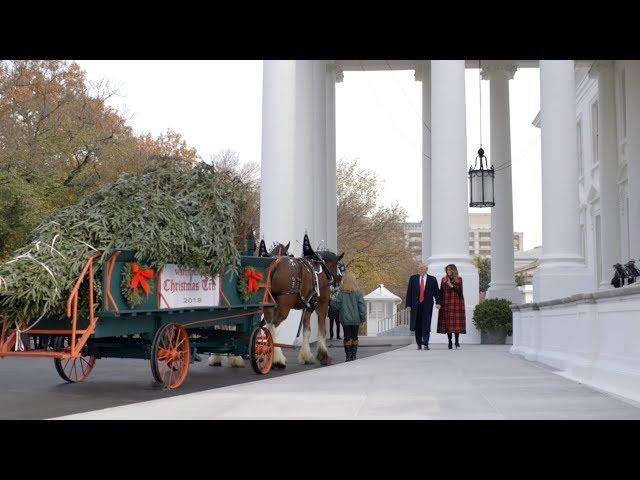 President Trump and the First Lady Receive the 2018 White House Christmas Tree