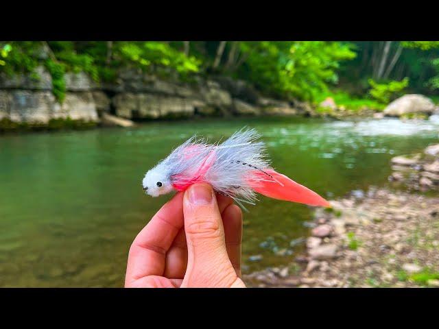 INCREDIBLE Fly Fishing for Big Brown Trout! (Streamer Fishing)
