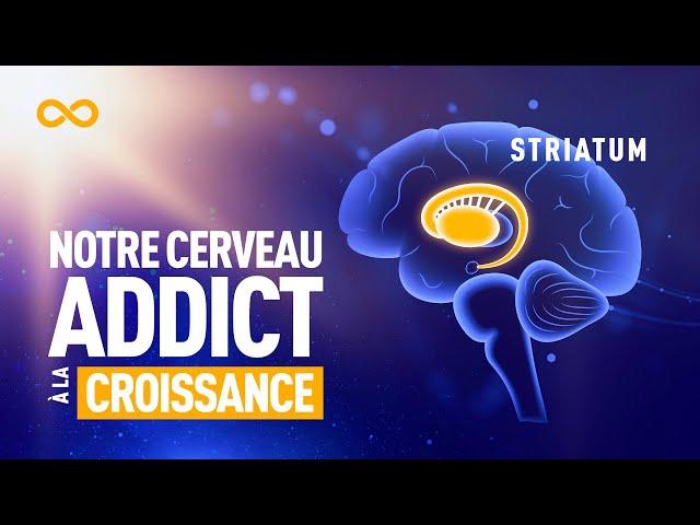 STRIATUM : PARTIE DU CERVEAU ADDICT À LA CROISSANCE