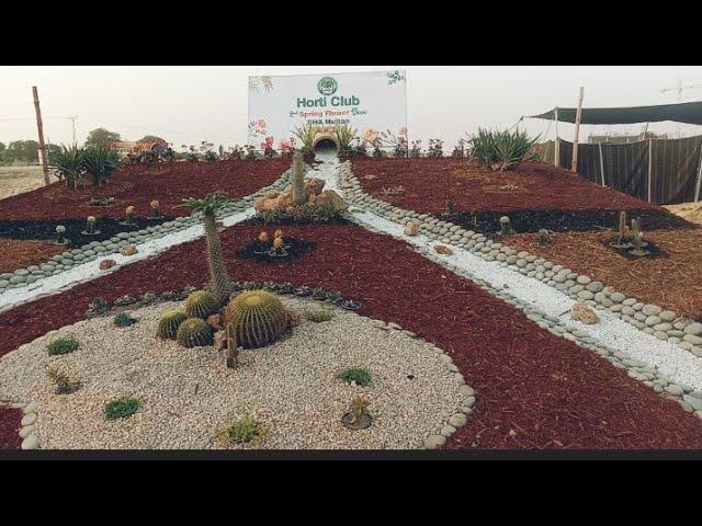 Spring Festival 2022 DHA Multan. Flowers show. Indoor,Cactus &Succulents exhibition.Jashane Baharan.